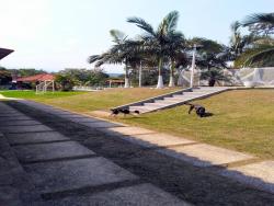 #CH0974_PAL - Chácara para Venda em Guaratinguetá - SP - 2