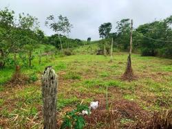 #CH0995_PAI - Chácara para Venda em Pindamonhangaba - SP - 1