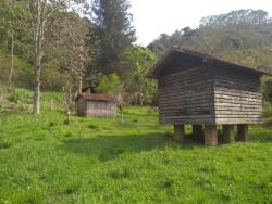 #CH0996_PAI - Chácara para Venda em Cunha - SP - 3
