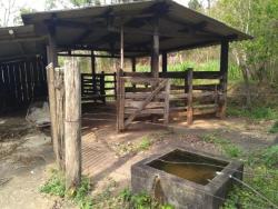 Chácara para Venda em Cunha - 4