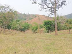 #FA0001_PAI - Fazenda para Venda em Roseira - SP - 1