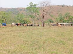 #FA0001_PAI - Fazenda para Venda em Roseira - SP - 2
