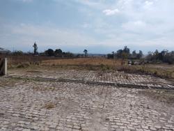 #TE0088_PAL - Terreno para Venda em Roseira - SP - 1