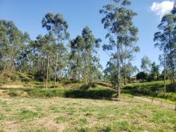 #TE0114_PAL - Terreno para Venda em Tremembé - SP - 3