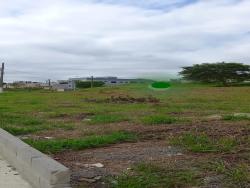 #TE0126_PAL - Terreno para Venda em Guaratinguetá - SP - 3