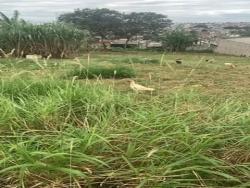 Terreno para Venda em Taubaté - 2