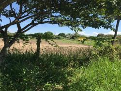 #TE0203_PAL - Terreno para Venda em Roseira - SP - 1