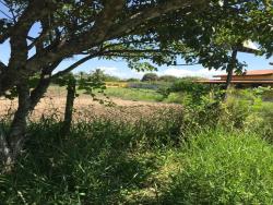 #TE0203_PAL - Terreno para Venda em Roseira - SP - 2