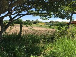 Terreno para Venda em Roseira - 4