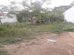 #TE0206_PAL - Terreno para Venda em Guaratinguetá - SP - 2
