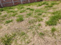 Terreno para Venda em Pindamonhangaba - 5