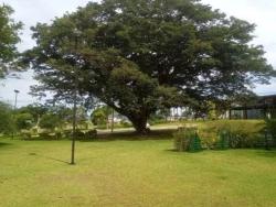 Terreno em condomínio para Venda em Caçapava - 5