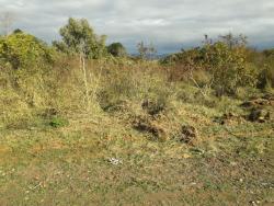 #TE0457_PAL - Terreno para Venda em Guaratinguetá - SP - 1