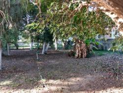Terreno para Venda em Pindamonhangaba - 3