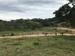 Terreno para Venda em Cunha - 4
