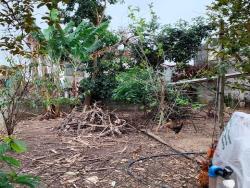 Terreno para Venda em Pindamonhangaba - 4