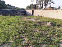 #TE0557_PAL - Terreno para Venda em Potim - SP - 3
