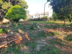 Terreno para Venda em Potim - 4