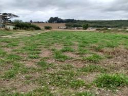 Terreno para Venda em Taubaté - 4