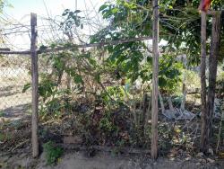 Terreno para Venda em Taubaté - 5