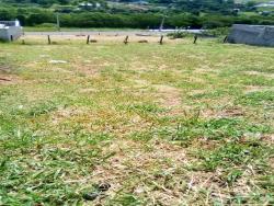 Terreno para Venda em Taubaté - 4