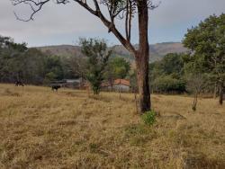 Terreno para Venda em Taubaté - 5