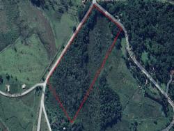 #TE0730_PAL - Terreno para Venda em Caraguatatuba - SP - 3