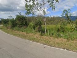 Terreno para Venda em Caraguatatuba - 5