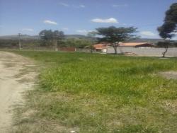 #TE0770_PAL - Terreno para Venda em Roseira - SP - 1