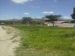 #TE0770_PAL - Terreno para Venda em Roseira - SP - 2