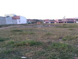 #TE0847_PAL - Terreno para Venda em Potim - SP - 2