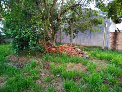 Terreno para Venda em Pindamonhangaba - 4