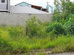 Terreno para Venda em Pindamonhangaba - 3