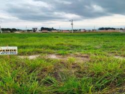 Terreno para Venda em Pindamonhangaba - 3