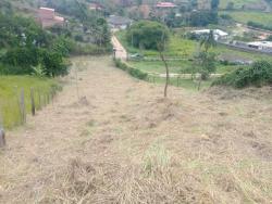 Terreno para Venda em Taubaté - 5