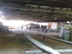 Terreno para Venda em Aparecida - 5