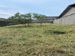 Terreno para Venda em Taubaté - 3
