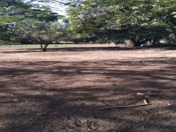Terreno para Venda em Pindamonhangaba - 2