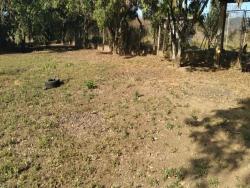 Terreno para Venda em Pindamonhangaba - 4