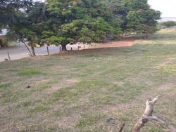 Terreno para Venda em Taubaté - 4