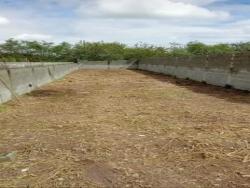 Terreno para Venda em Pindamonhangaba - 2