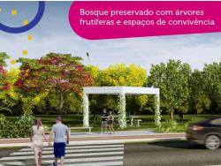 Terreno para Venda em Taubaté - 4