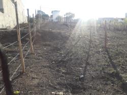 #TE1421_PAL - Terreno para Venda em Guaratinguetá - SP - 2