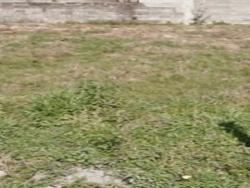 #TE1425_PAL - Terreno para Venda em Caçapava - SP - 2