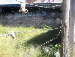 Terreno para Venda em Pindamonhangaba - 3