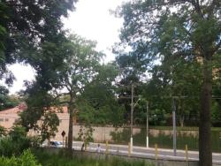 Terreno para Venda em Aparecida - 5