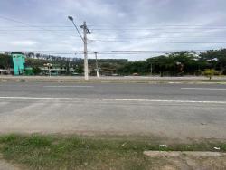 #TE1459_PAL - Terreno para Locação em Aparecida - SP - 3