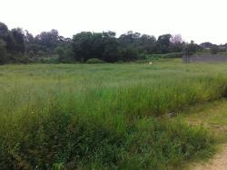 #TE1554 - Terreno para Venda em Pindamonhangaba - SP