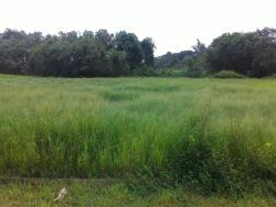 #TE1554 - Terreno para Venda em Pindamonhangaba - SP