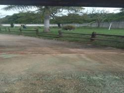 Terreno para Venda em Taubaté - 5